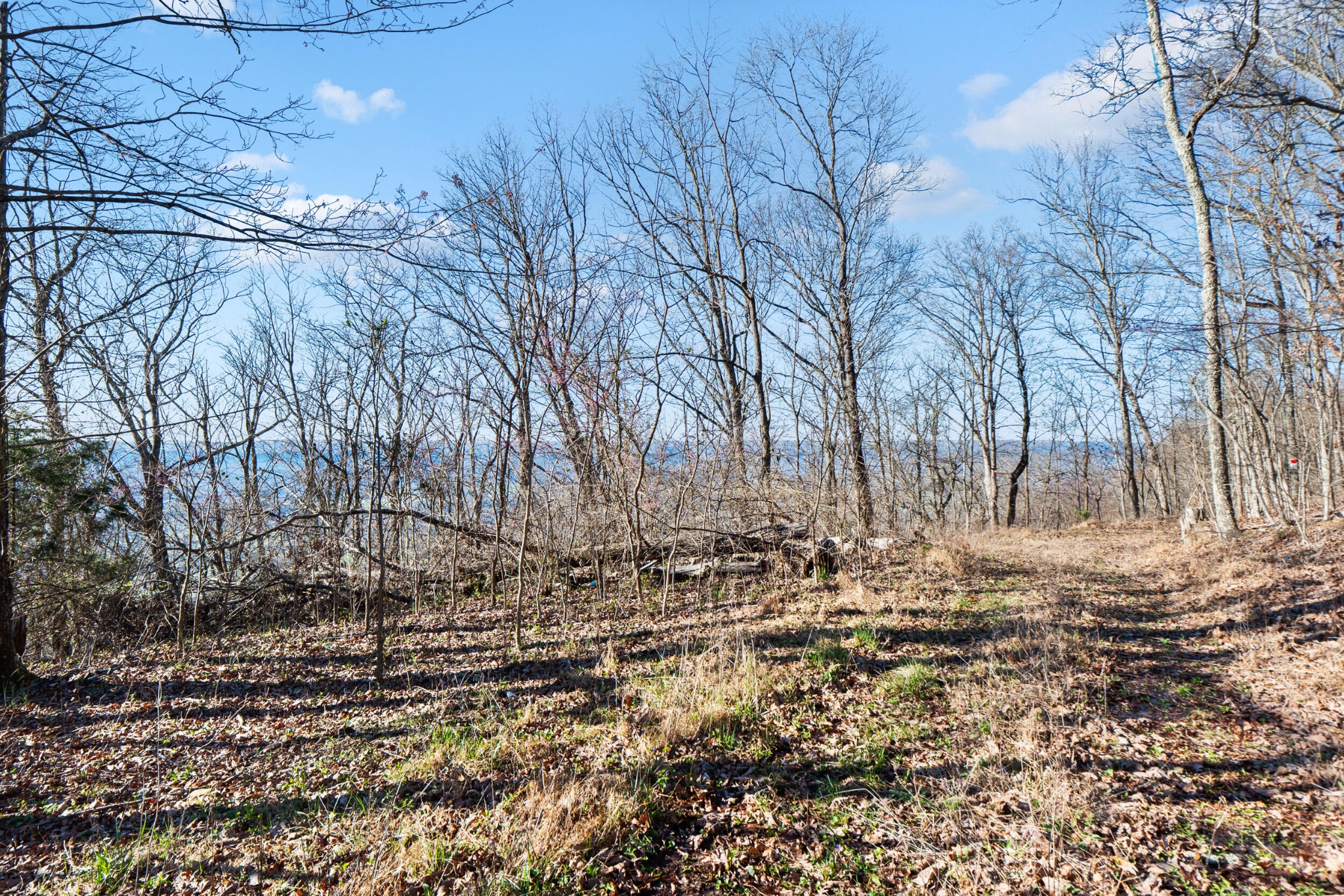 20851935 Big Fork Road Chattanooga, TN 37405 - Photo 5 of 22
