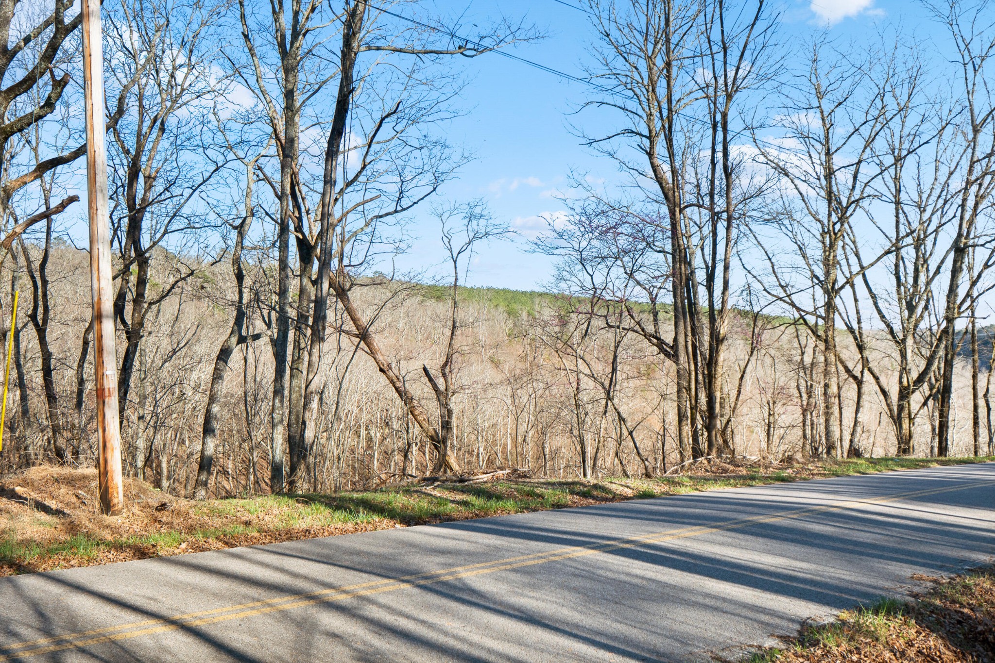 20851935 Big Fork Road Chattanooga, TN 37405 - Photo 6 of 22