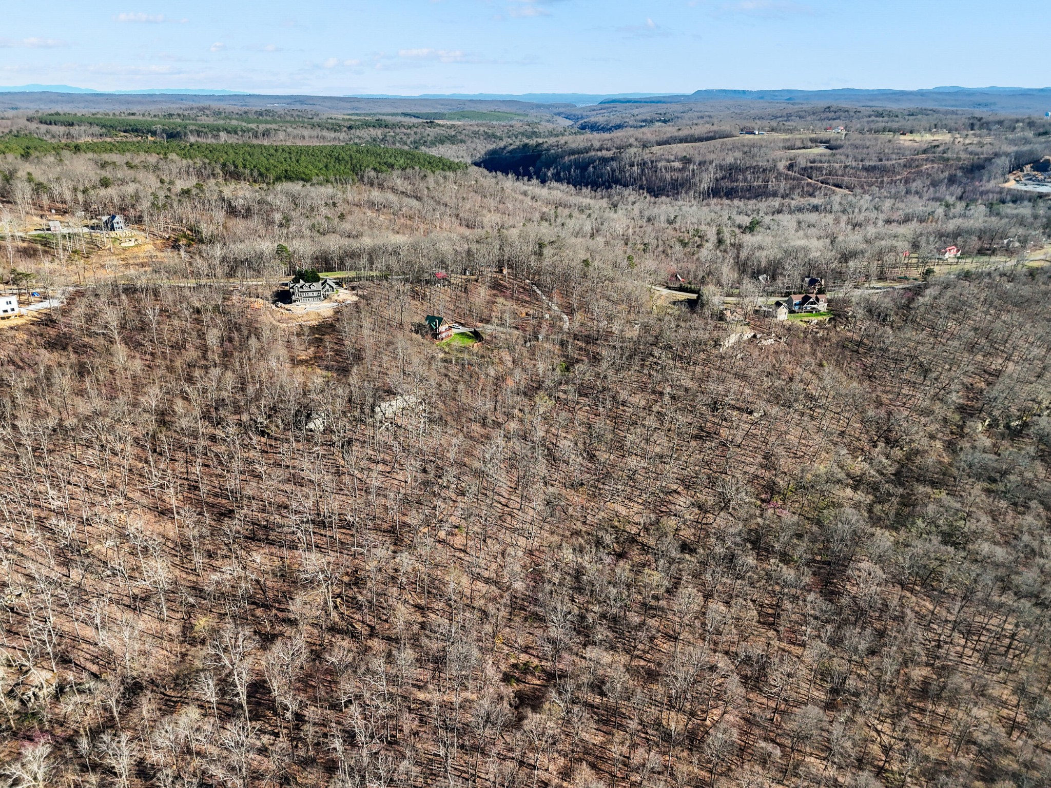 20851935 Big Fork Road Chattanooga, TN 37405 - Photo 8 of 22
