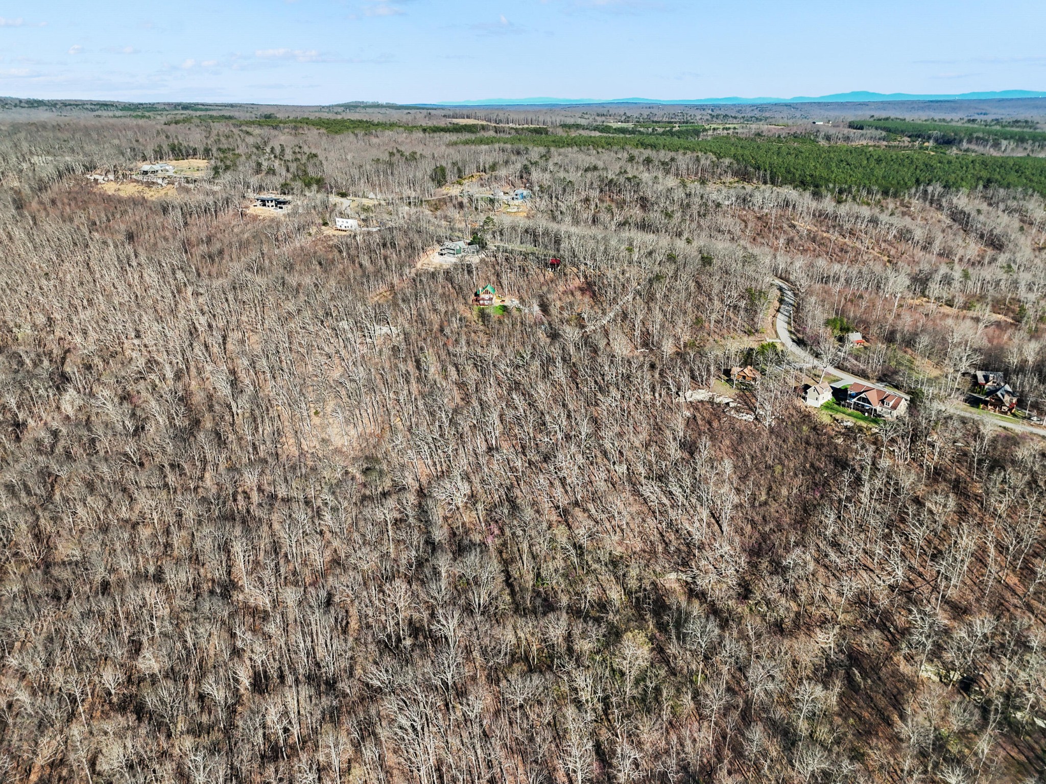 20851935 Big Fork Road Chattanooga, TN 37405 - Photo 9 of 22
