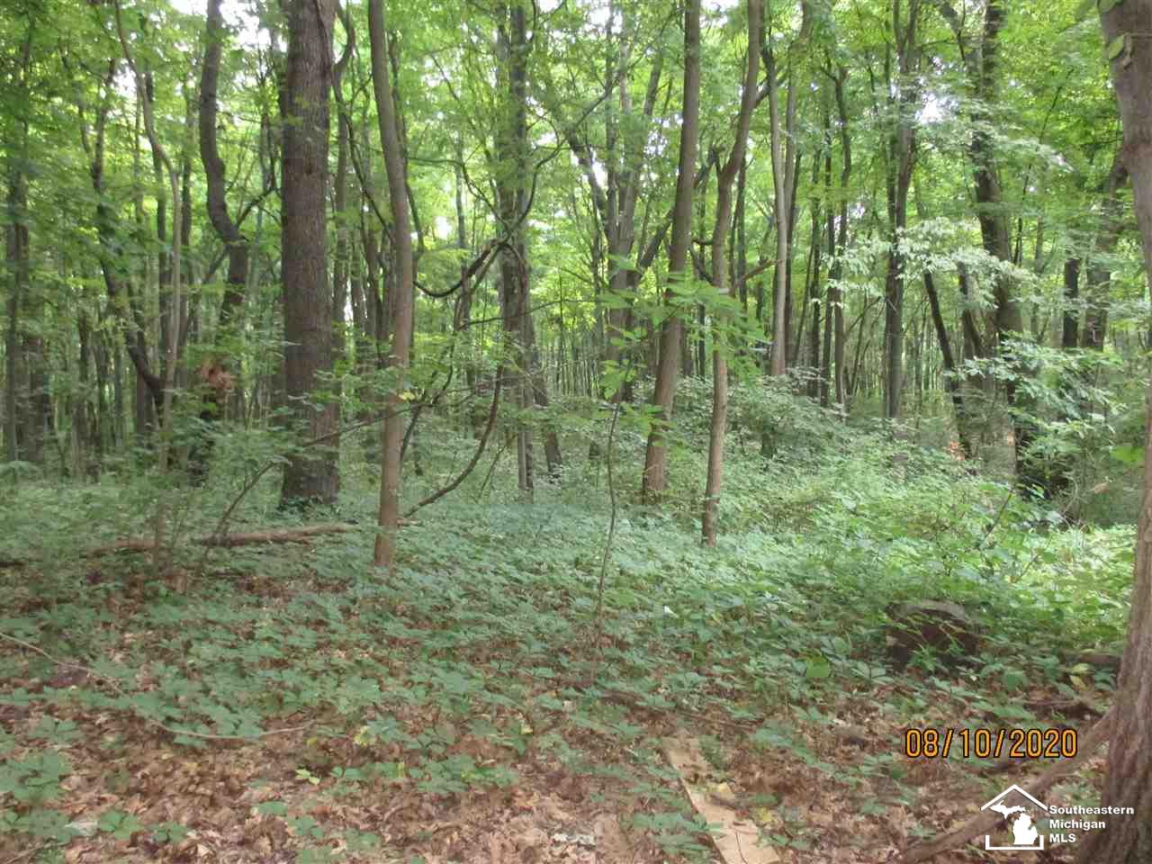 7138 Jackman Road Temperance, MI 48182 - Photo 14 of 14