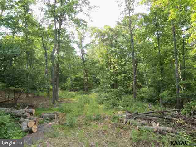 741 Jacks Mountain Road Fairfield, PA 17320 - Photo 5 of 8 Gallery Image 5