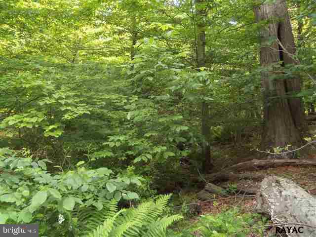 741 Jacks Mountain Road Fairfield, PA 17320 - Photo 6 of 8 Gallery Image 6
