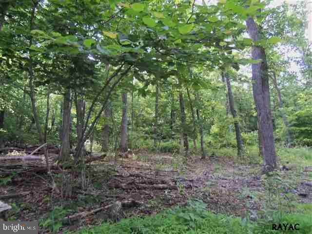 741 Jacks Mountain Road Fairfield, PA 17320 - Photo 7 of 8 Gallery Image 7