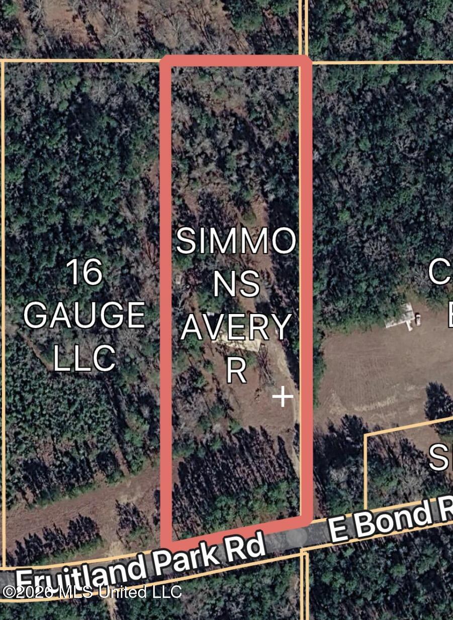 551 Fruitland Park Road Wiggins, MS 39577 - Photo 3 of 14 IMG_4857