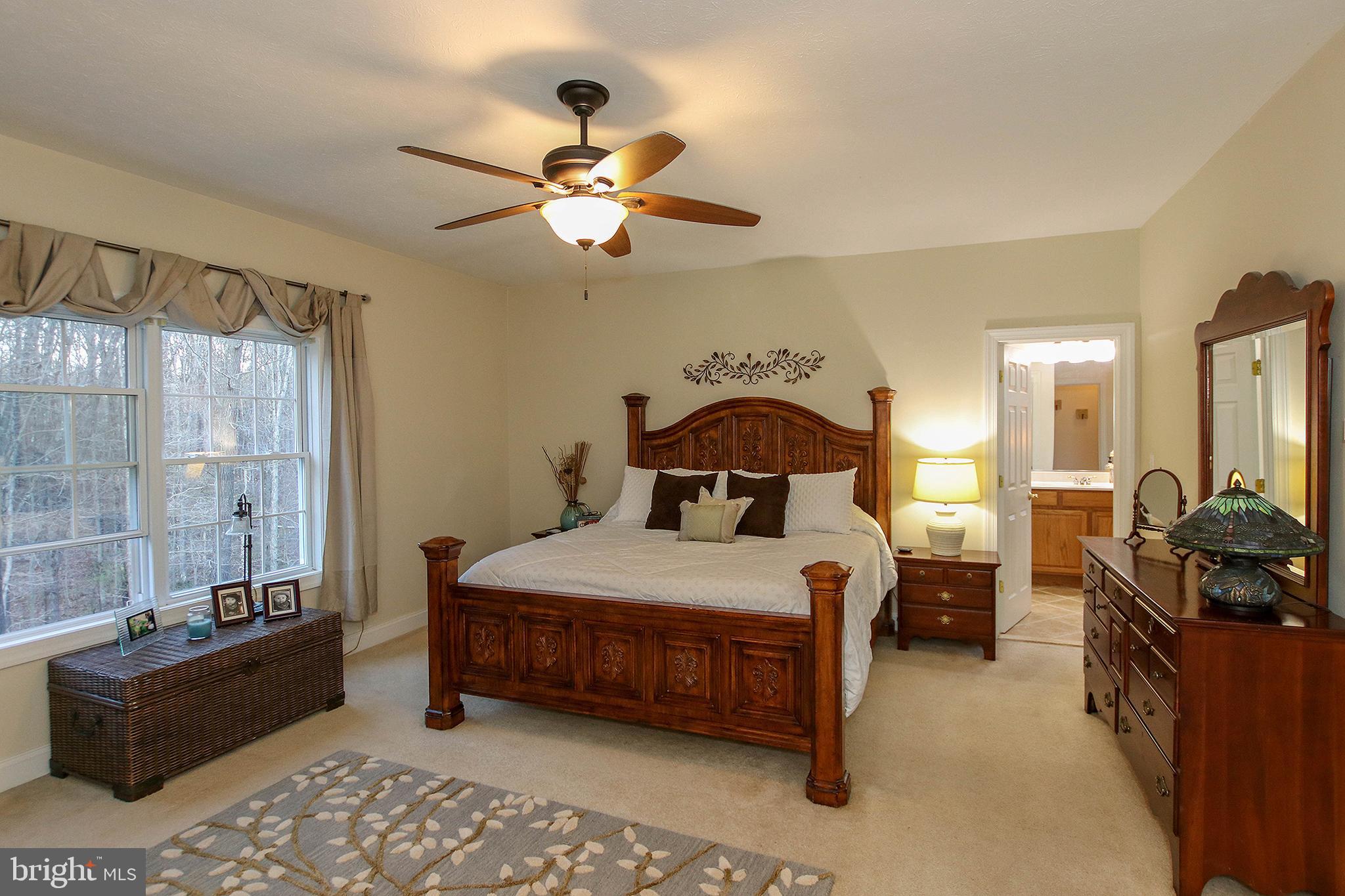 800 Cattail Road Winchester, VA 22603 - Photo 16 of 44 Sweet dreams come easy in this lovely Master Suite