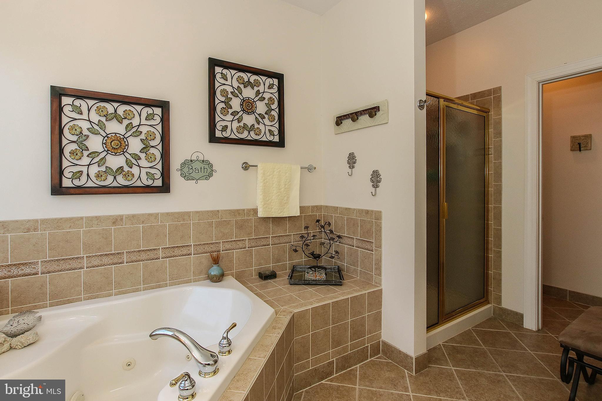 800 Cattail Road Winchester, VA 22603 - Photo 19 of 44 Separate shower