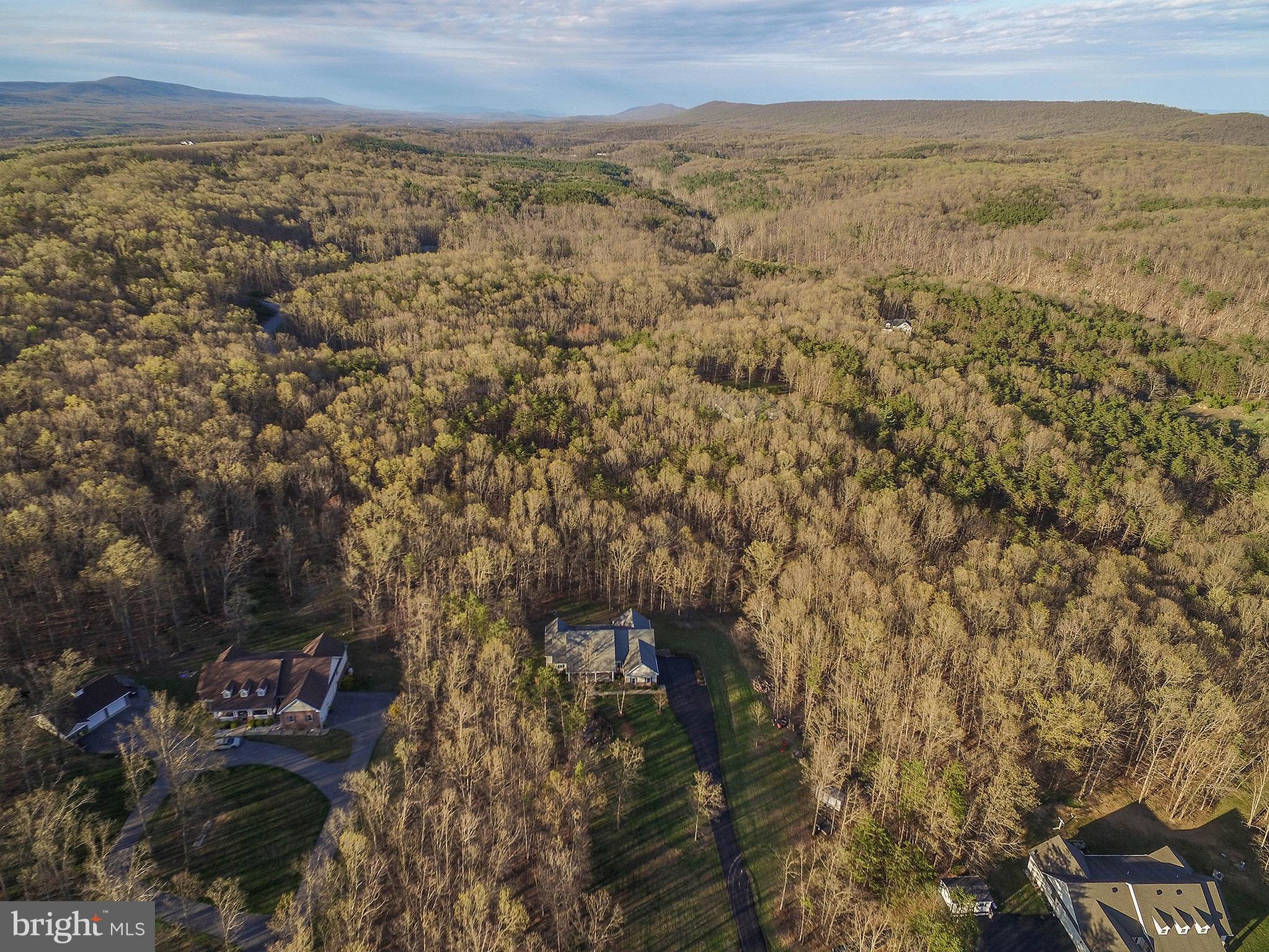 800 Cattail Road Winchester, VA 22603 - Photo 4 of 44 Set against Nature's backdrop.....