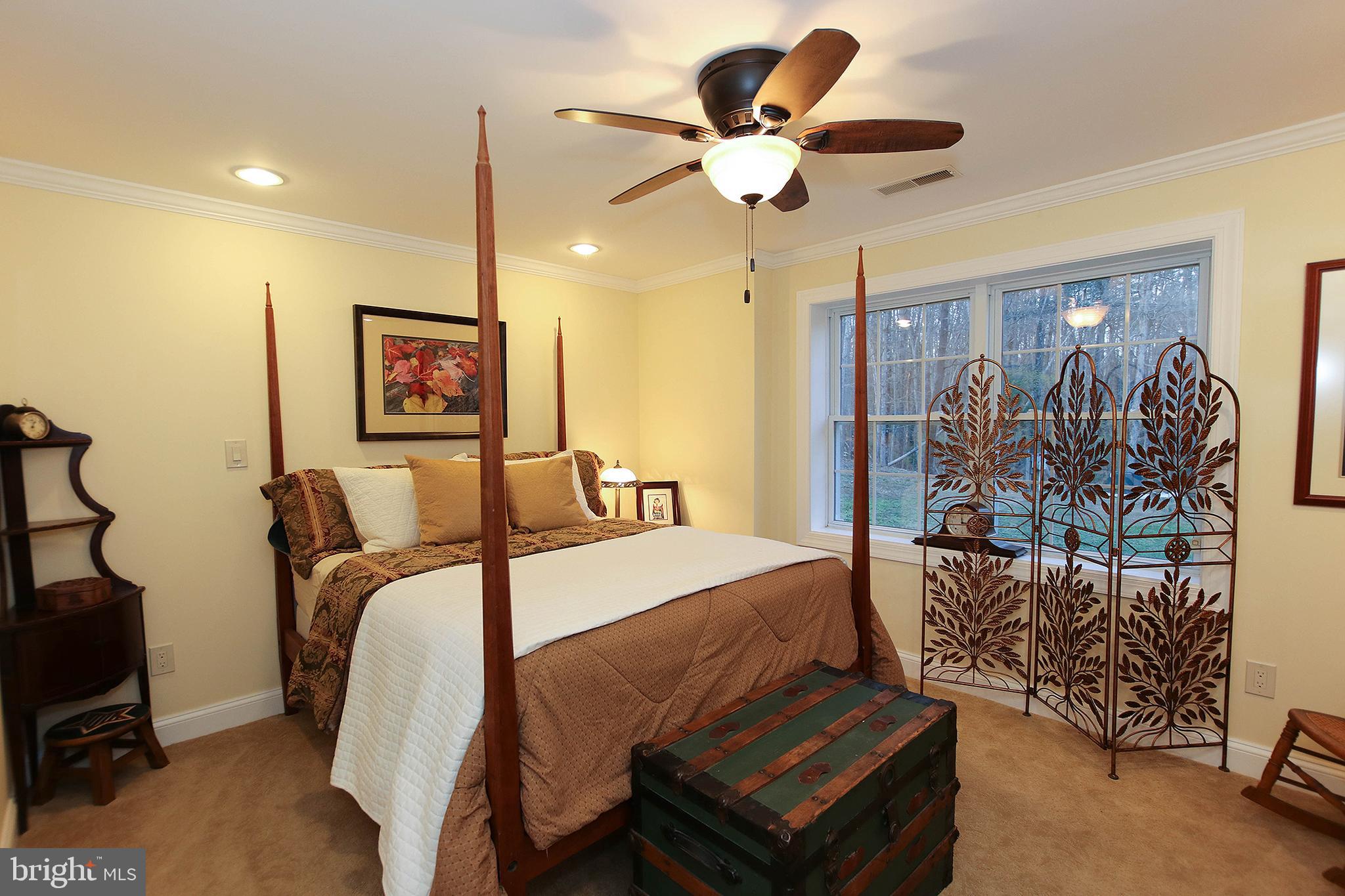 800 Cattail Road Winchester, VA 22603 - Photo 34 of 44 4th bedroom/guest room on lower level