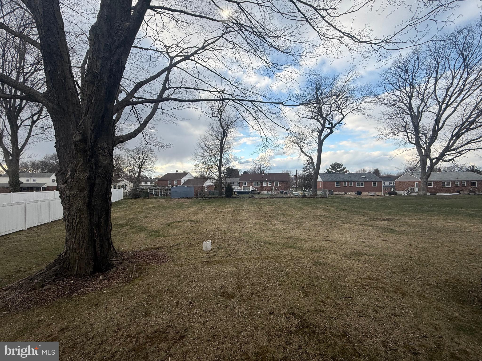 338 Rees Drive King of Prussia, PA 19406 - Photo 29 of 35 a view of yard with trees