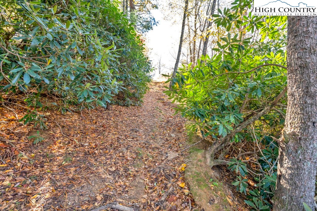 421 South Old Boone, NC 28607 - Photo 11 of 19 a backyard of a house with lots of green space