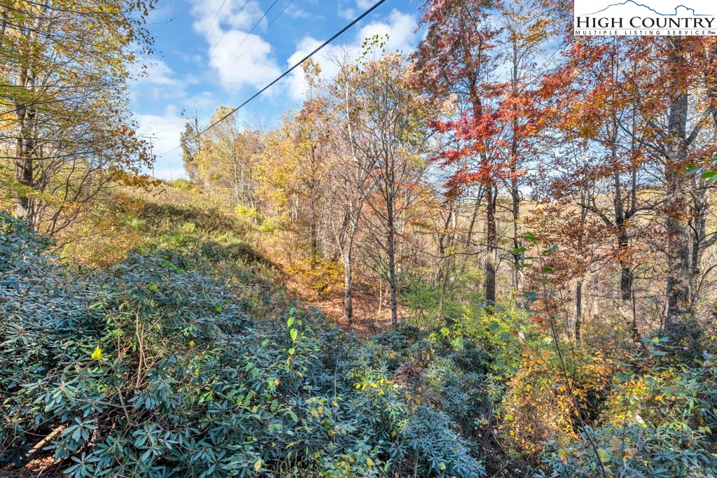 421 South Old Boone, NC 28607 - Photo 12 of 19