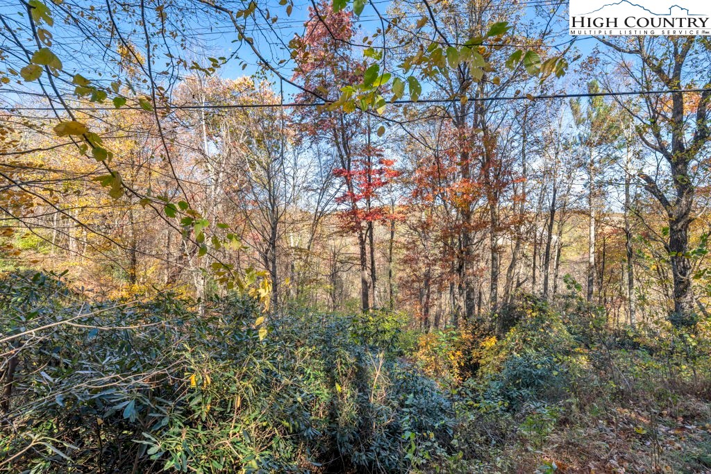 421 South Old Boone, NC 28607 - Photo 13 of 19 a view of a yard with a tree