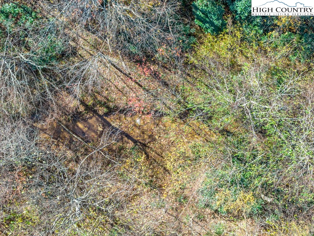 421 South Old Boone, NC 28607 - Photo 15 of 19 a view of a yard with a tree