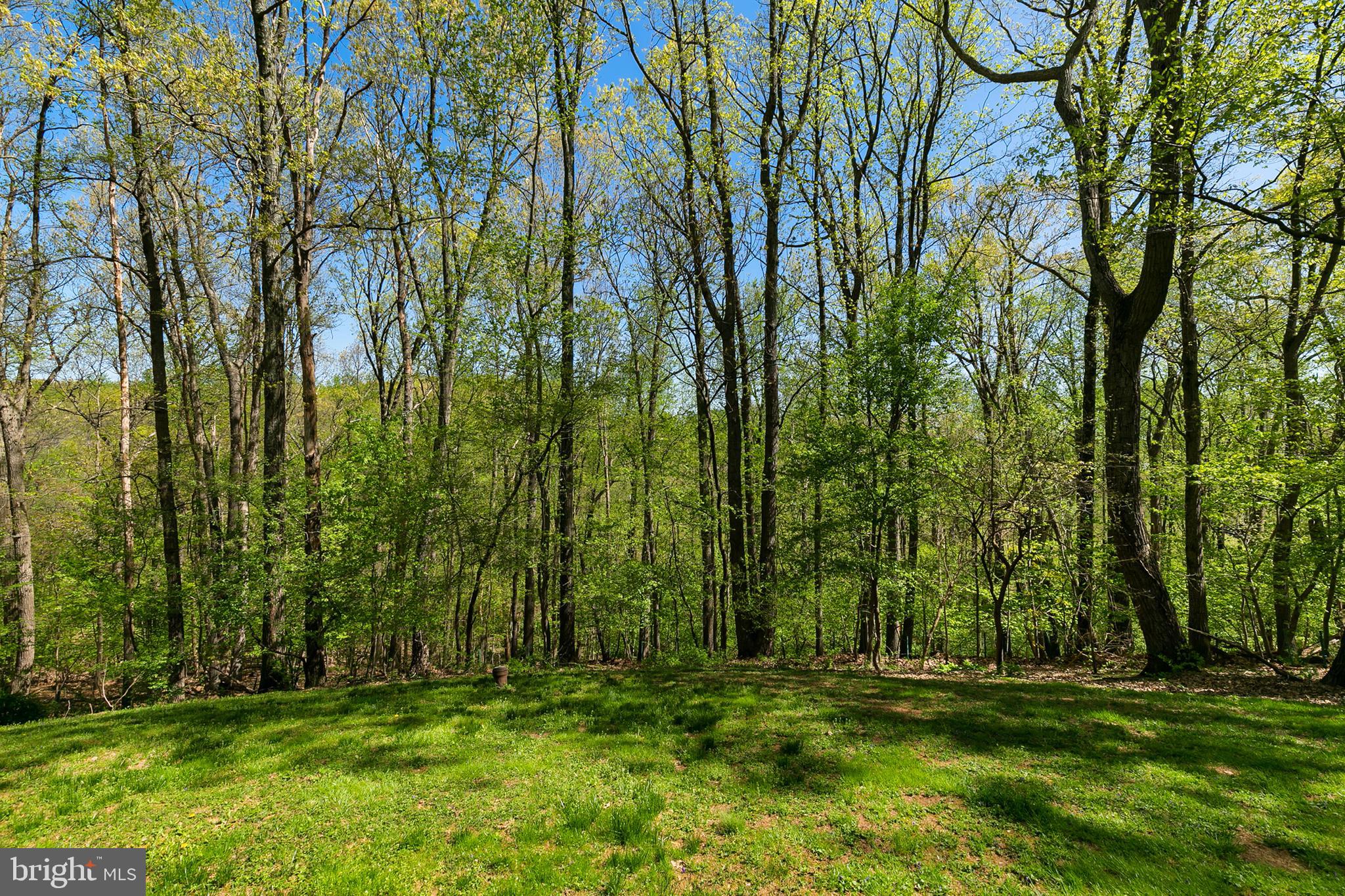 2672 Walston Road Mount Airy, MD 21771 - Photo 30 of 30