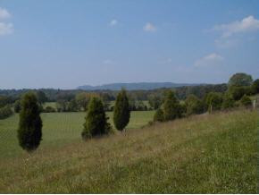 300 C W Kite Lane, Unit 1 Mosheim, TN 37818 - Photo 3 of 9 Photo 3