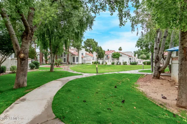 a view of a park with tree s