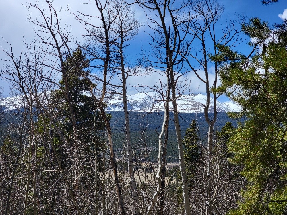 667 Ponderosa Road Fairplay, CO 80440 - Photo 26 of 31 Gallery Image 26