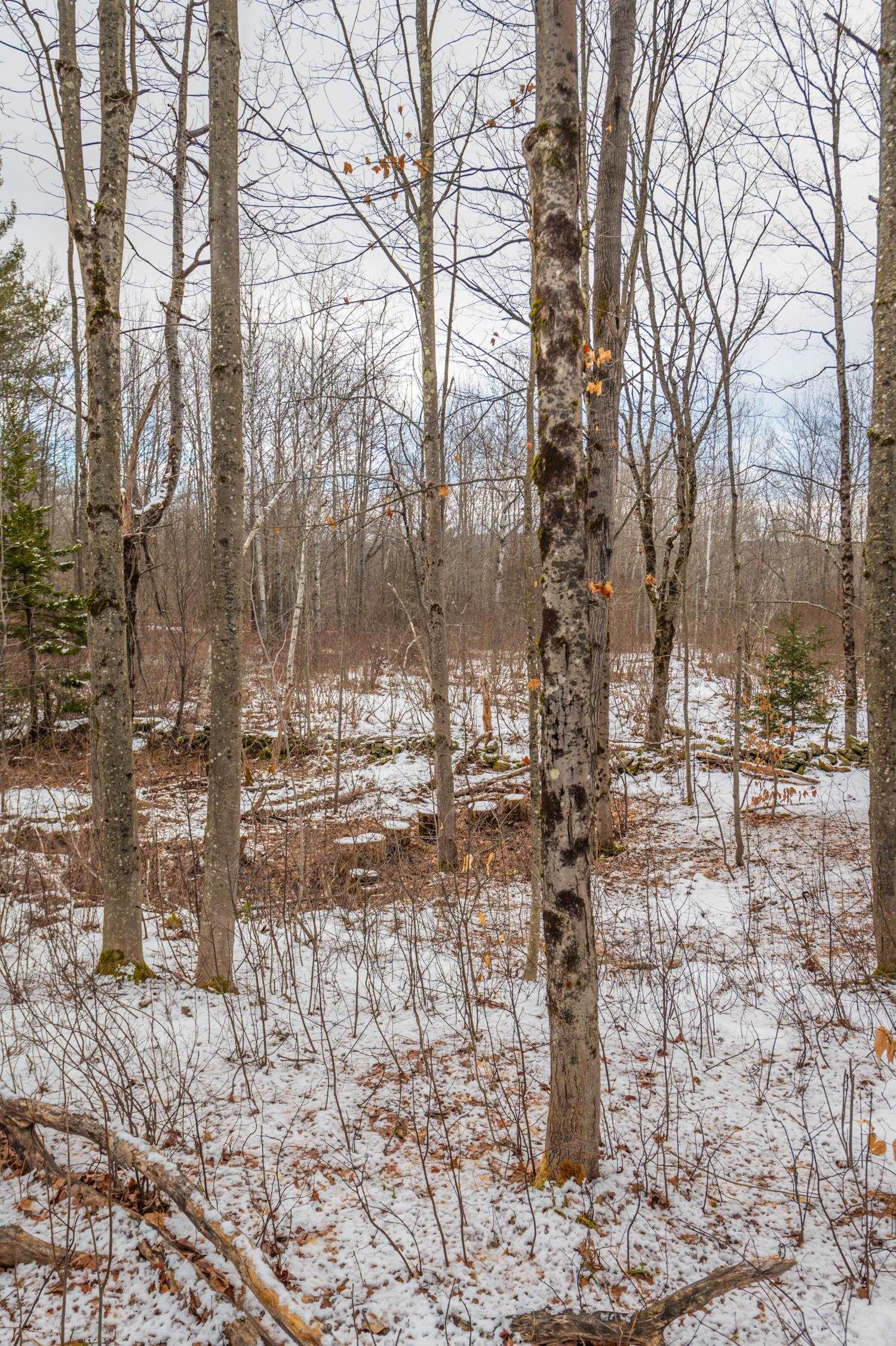 24 Meadow View Road Wilmington, VT 05363 - Photo 18 of 27 Gallery Image 18