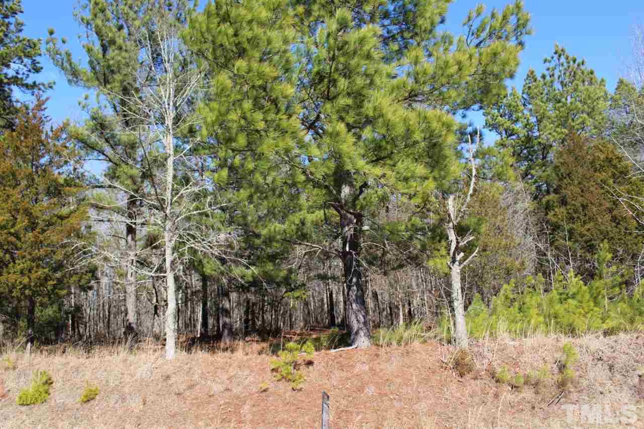 5204 Range Road Oxford, NC 27565 - Photo 3 of 3
