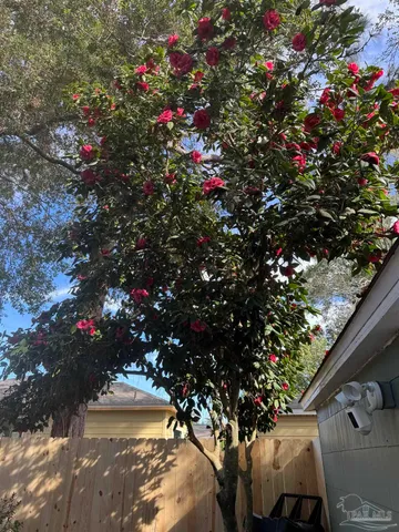 $567,500 | 1901 East Yonge Street, Pensacola, FL 32503