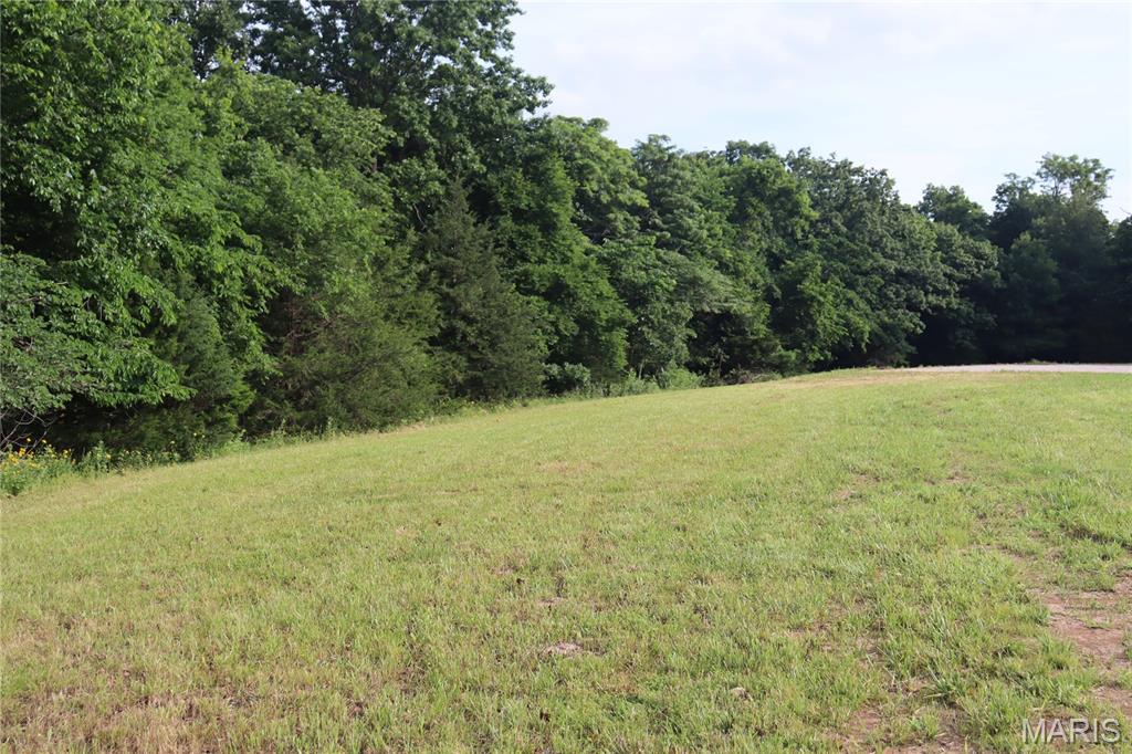 1970 Tanglefoot Farms Road Festus, MO 63028 - Photo 2 of 6