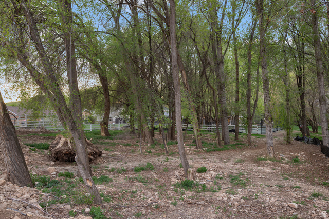 1544 East 1200 S Street Springville, UT 84663 - Photo 13 of 21 View of nature