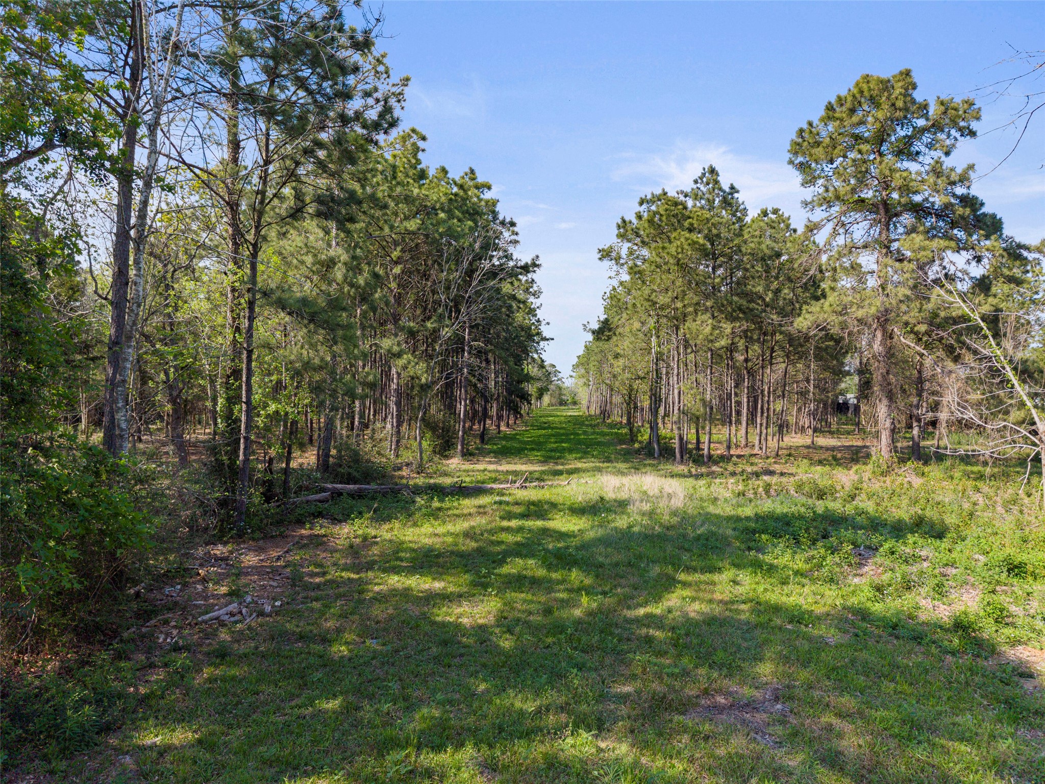 3414 Marvin Road Baytown, TX 77521 - Photo 14 of 14