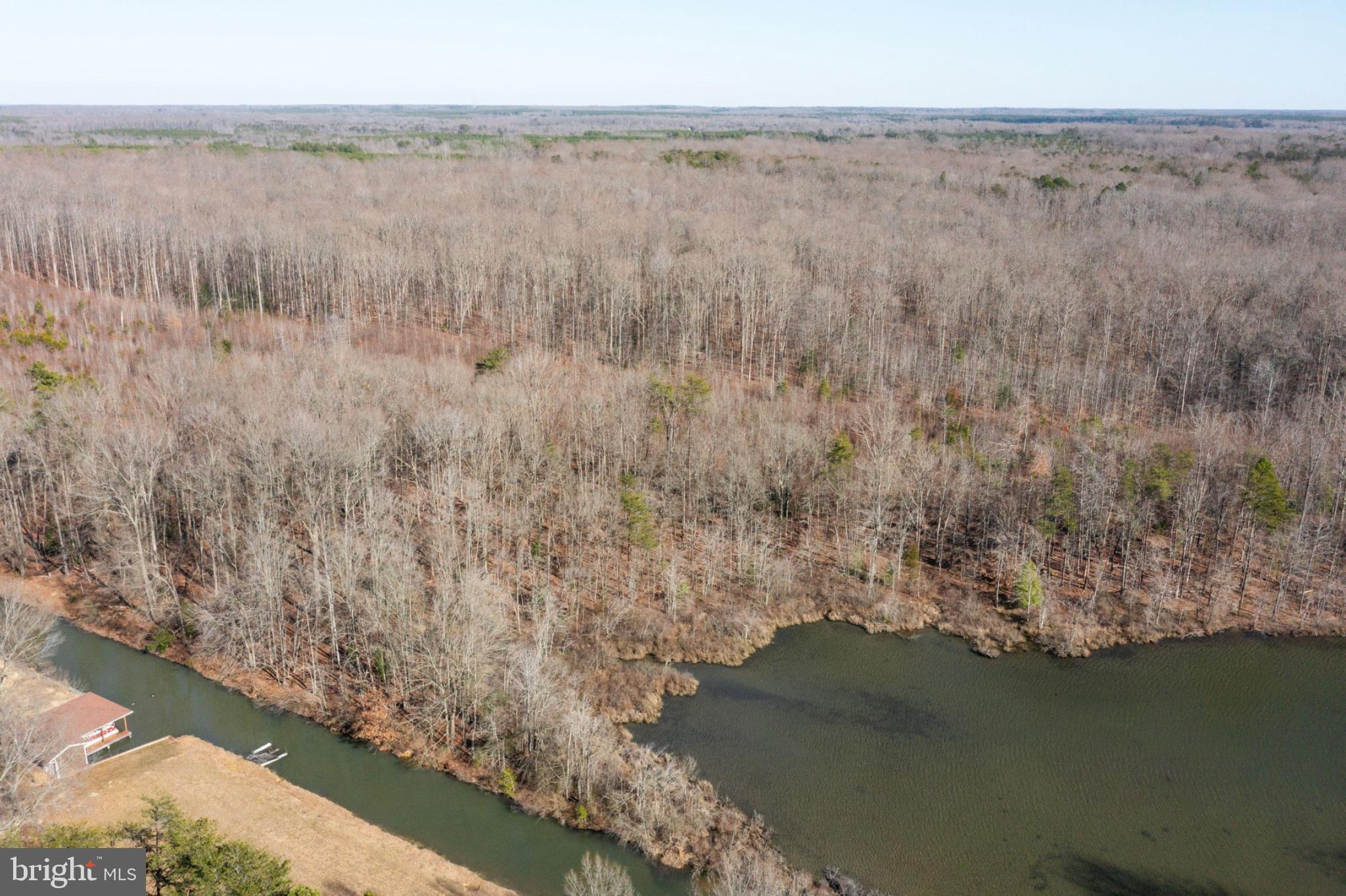 Lot 3-3152 Lewiston Road Bumpass, VA 23024 - Photo 1 of 14 Serene woodland meets tranquil waters.