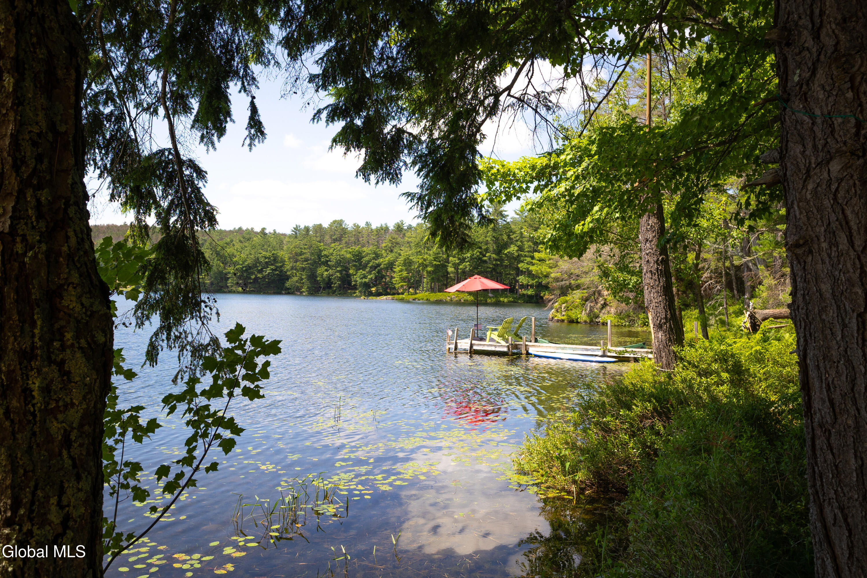 15 Pine Ledge Road Horicon, NY 12815 - Photo 50 of 57 Natural Shoreline