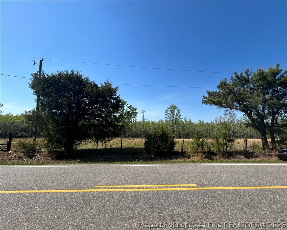 3806 McBryde Road Linden, NC 28356 - Photo 6 of 8 Across the Street View