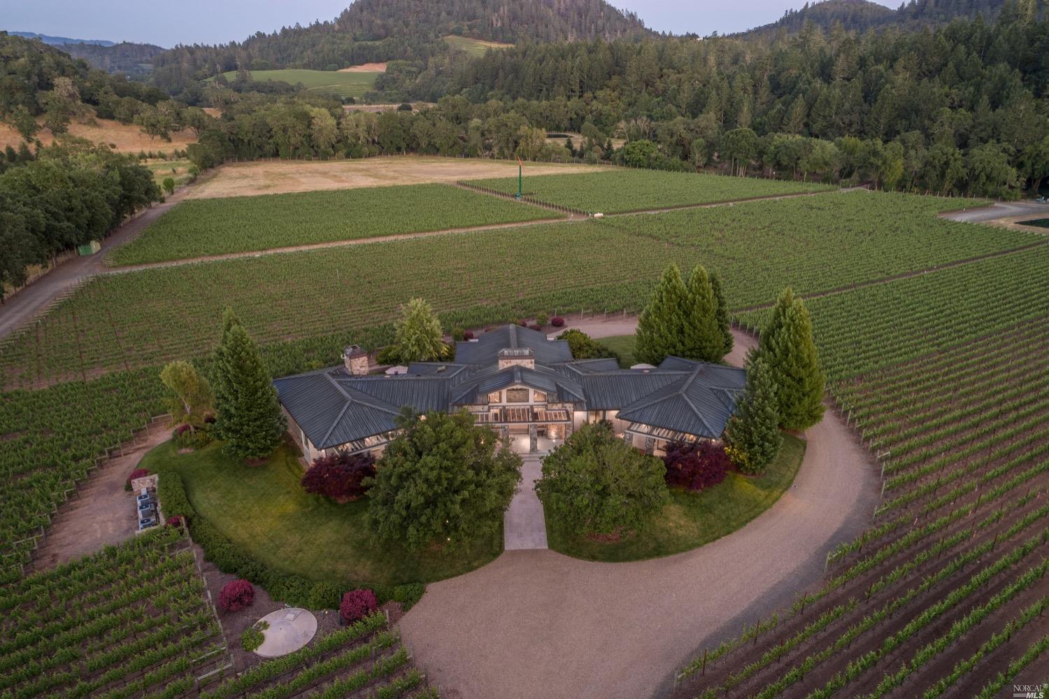 an aerial view of a house with a garden