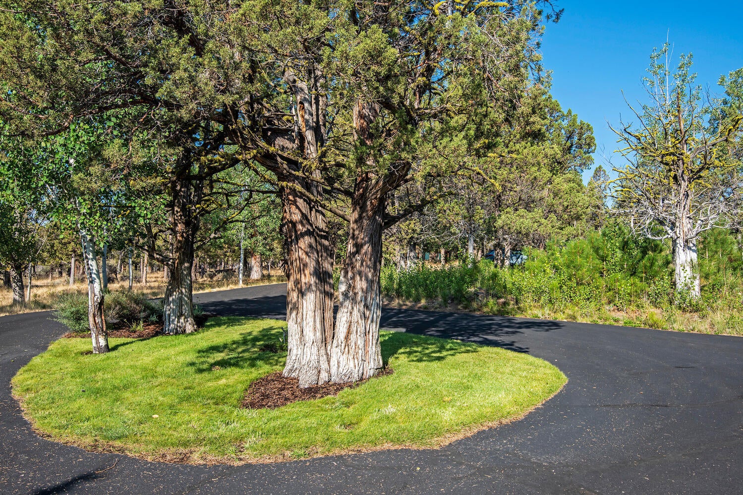 69950 Cowboy Jones Road Sisters, OR 97759 - Photo 37 of 57 Paved Driveway
