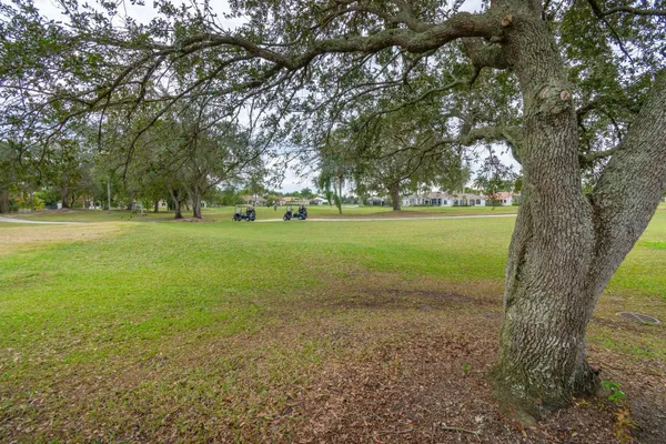a view of a field with large trees