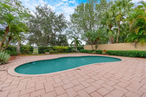 a view of a swimming pool with a yard