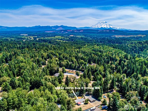 a view of a lot of trees and houses