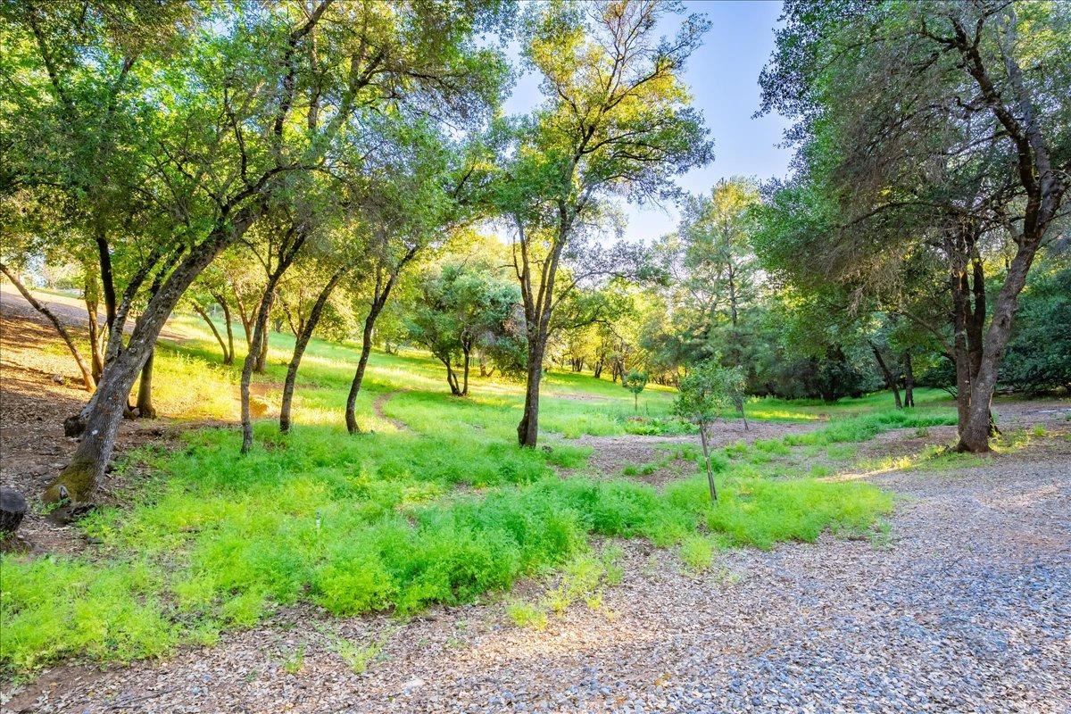 6340 Roller Coaster Road Garden Valley, CA 95633 - Photo 77 of 95