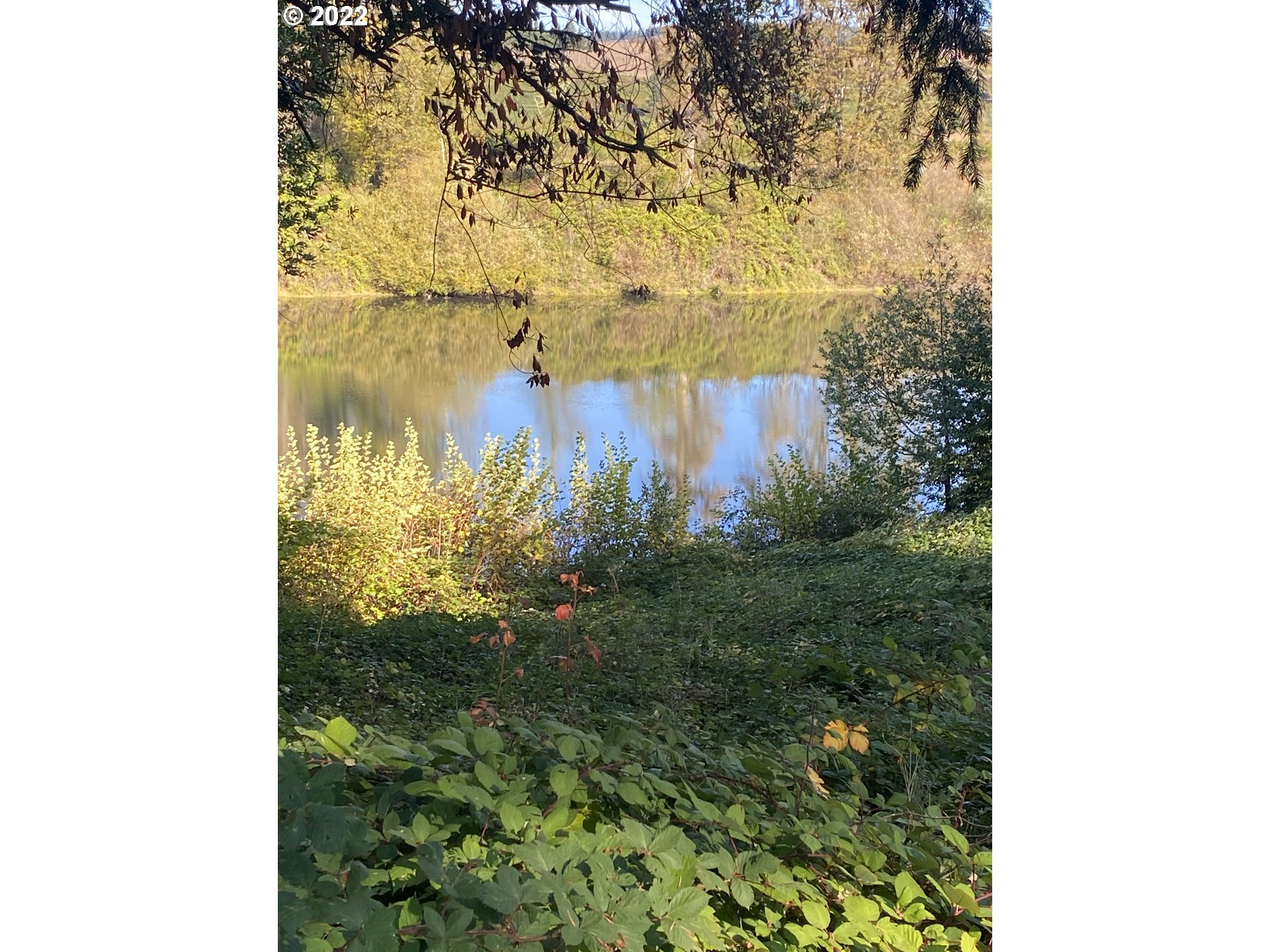 5913 Bullock Road Oakland, OR 97462 - Photo 26 of 31 Garden