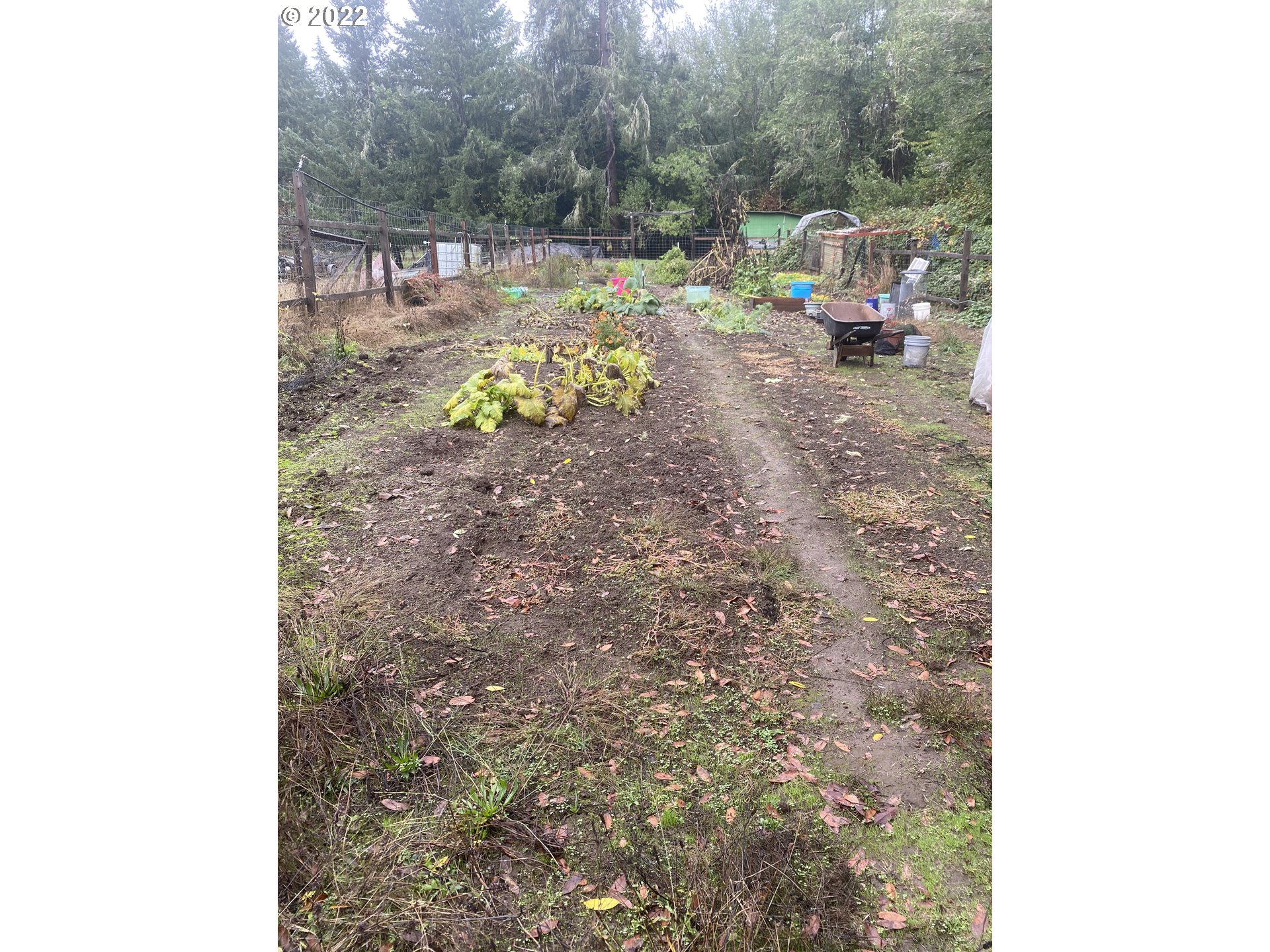 5913 Bullock Road Oakland, OR 97462 - Photo 27 of 31 Garden