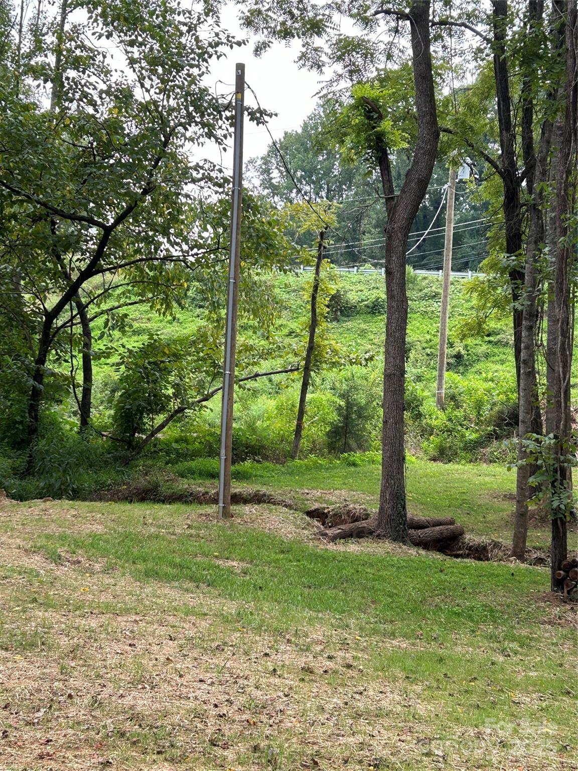 365 Rock Road Rutherfordton, NC 28139 - Photo 8 of 31 a view of a yard with a tree