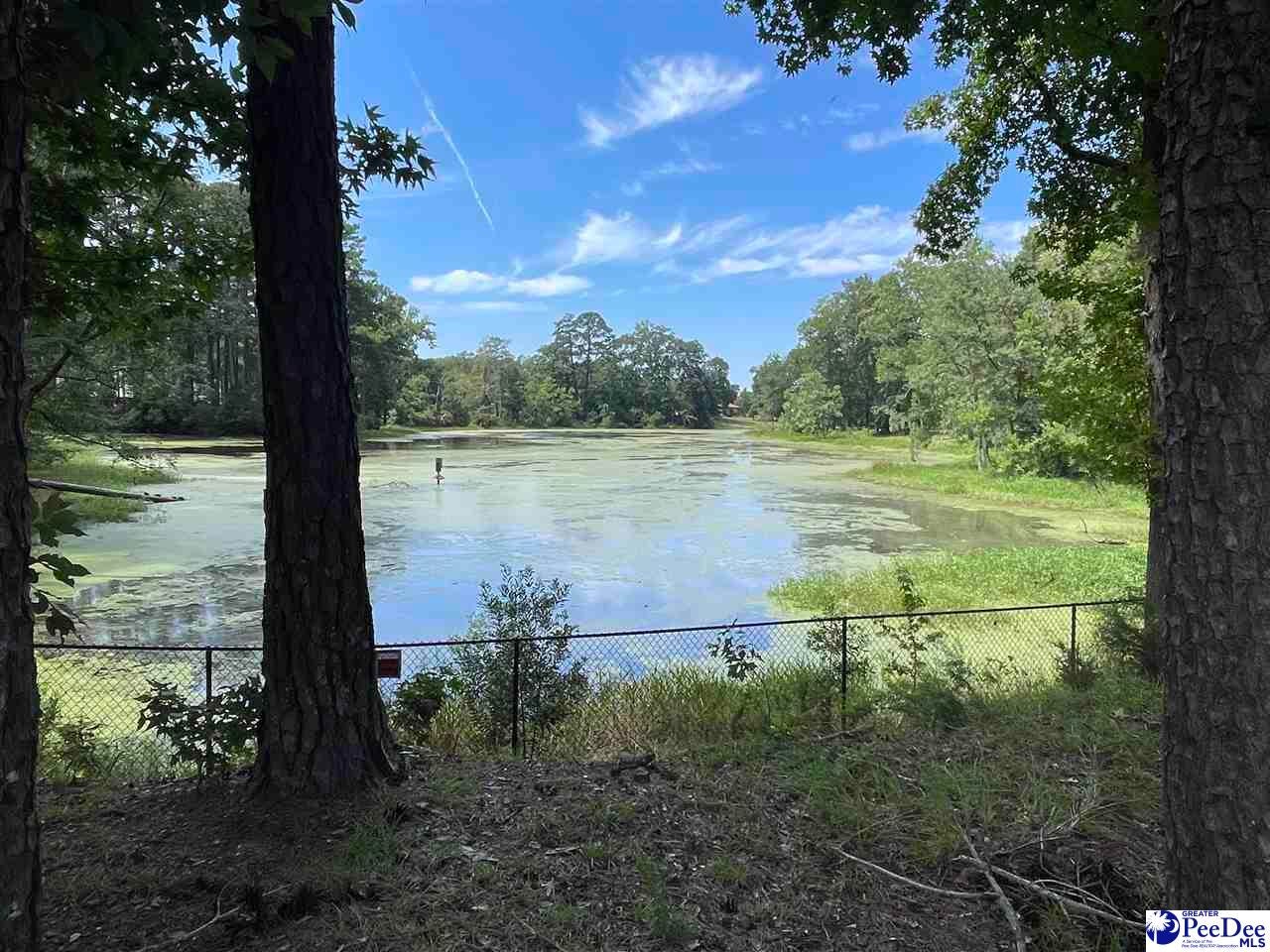 830 Preakness Lane Florence, SC 29501 - Photo 3 of 39 Gallery Image 3