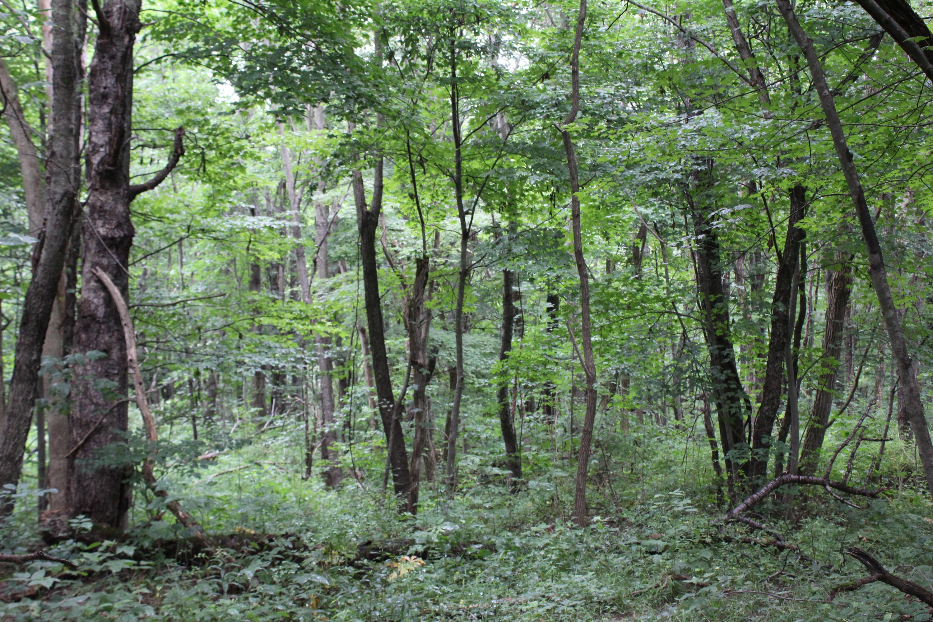 0 State Road Vermilion, OH 44089 - Photo 10 of 18 IMG_3417