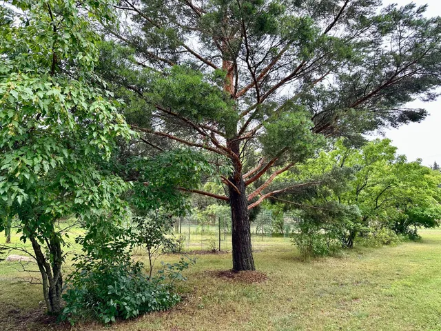 $329,900 | 25703 County Road 125, Park Rapids, MN 56470