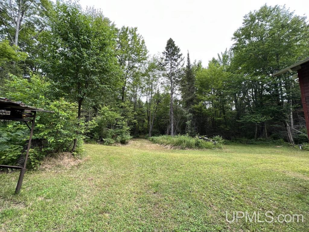 Tbd Tbd Stack Grade Little Lake Rock, MI 49880 - Photo 21 of 45