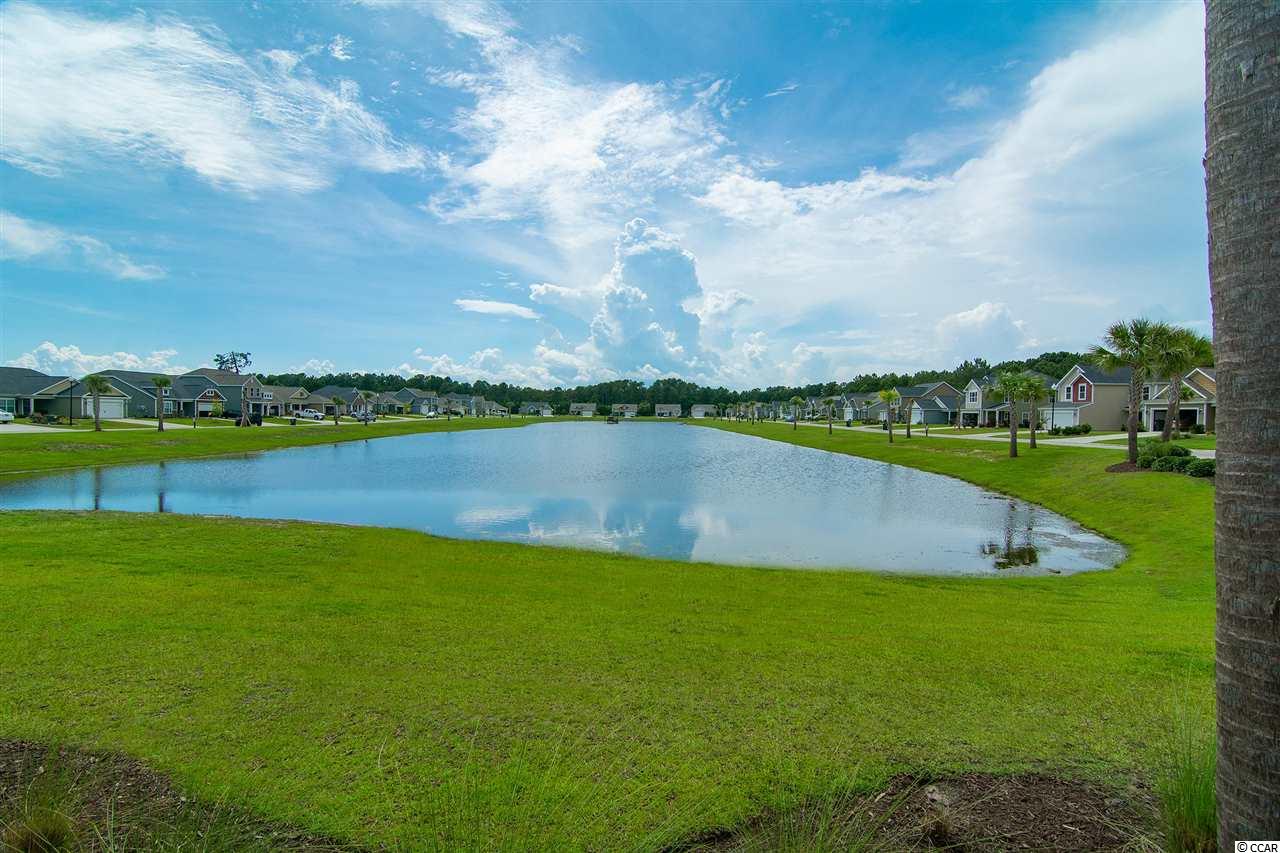 380 Whipple Run Loop Myrtle Beach, SC 29588 - Photo 22 of 22 Gallery Image 22