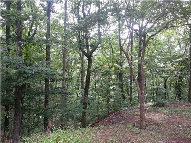3763 Valley View Road Crossville, TN 38572 - Photo 18 of 22 Additional Photo