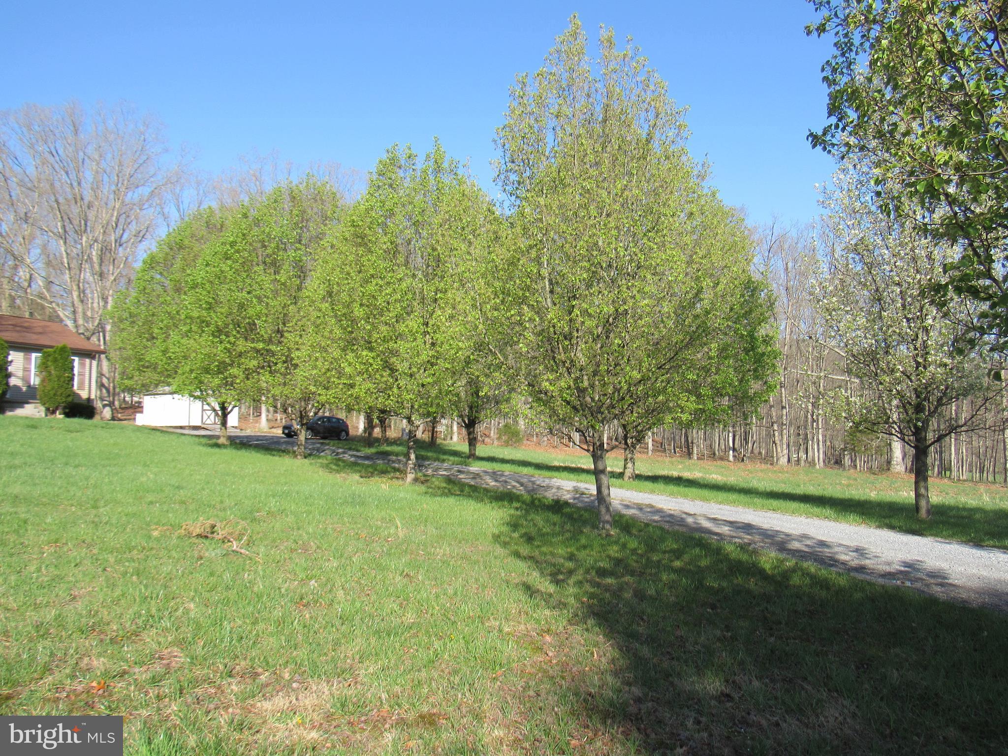 2043 Mountain Road Front Royal, VA 22630 - Photo 3 of 27 Exterior (General)