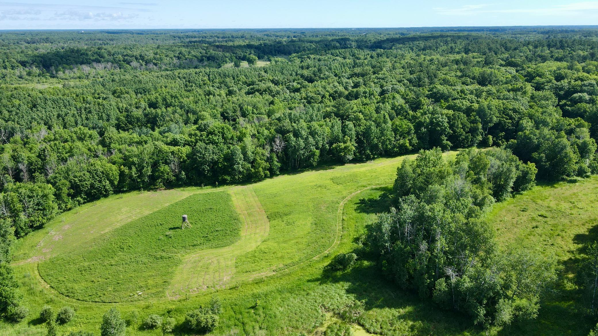37102 Grandy Pines Road Northeast Stanchfield, MN 55080 - Photo 6 of 28