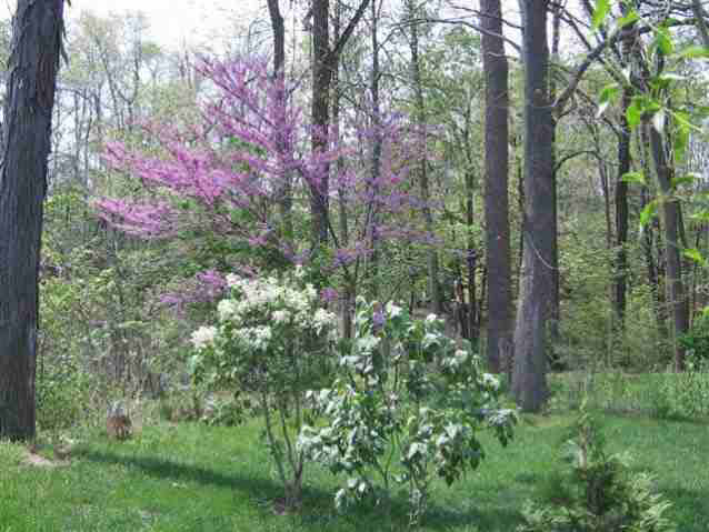 20872 Rivers Edge Drive Goshen, IN 46528 - Photo 9 of 11 Gallery Image 9
