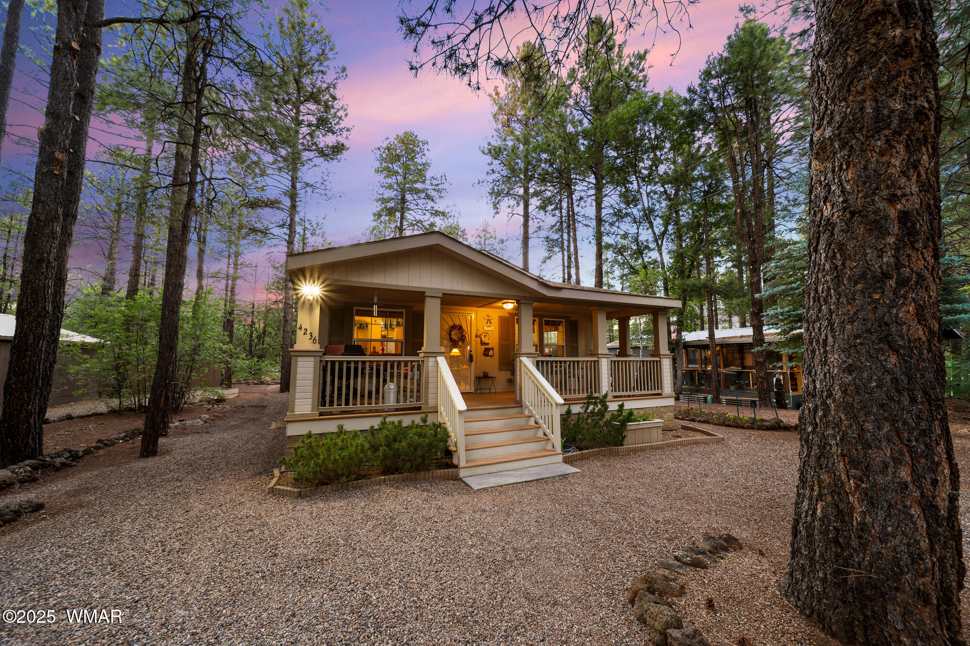 4236 West Blue Ridge Loop Pinetop, AZ 85935 - Photo 3 of 45 Beautiful Towering Ponderosa Pines